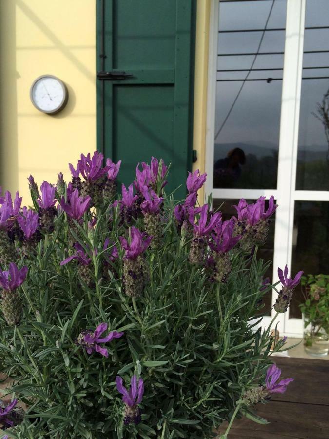 Il Giardino B&B Кастельветро-ди-Модена Экстерьер фото