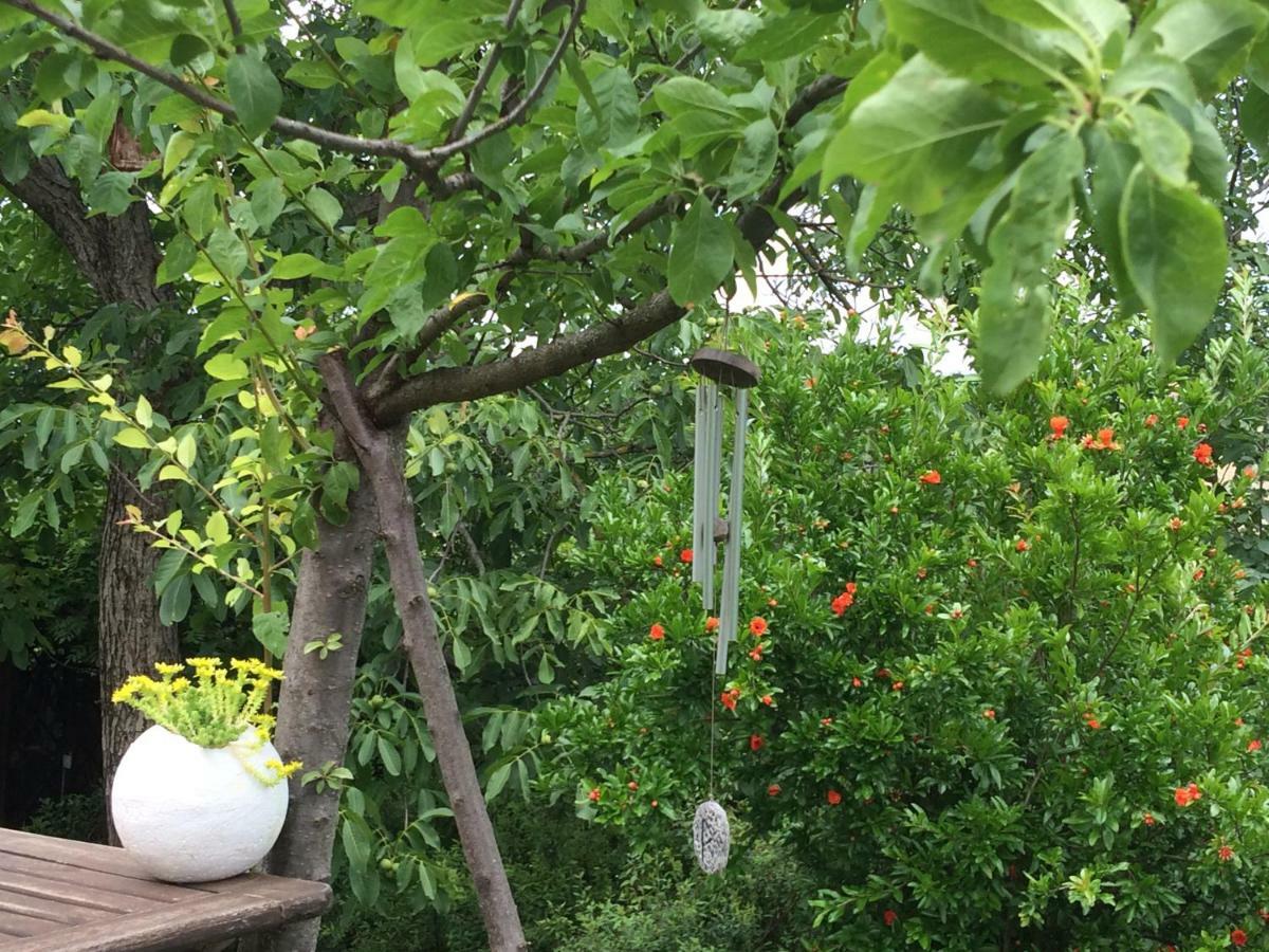 Il Giardino B&B Кастельветро-ди-Модена Экстерьер фото
