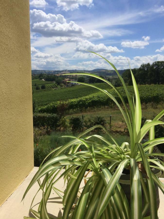 Il Giardino B&B Кастельветро-ди-Модена Экстерьер фото